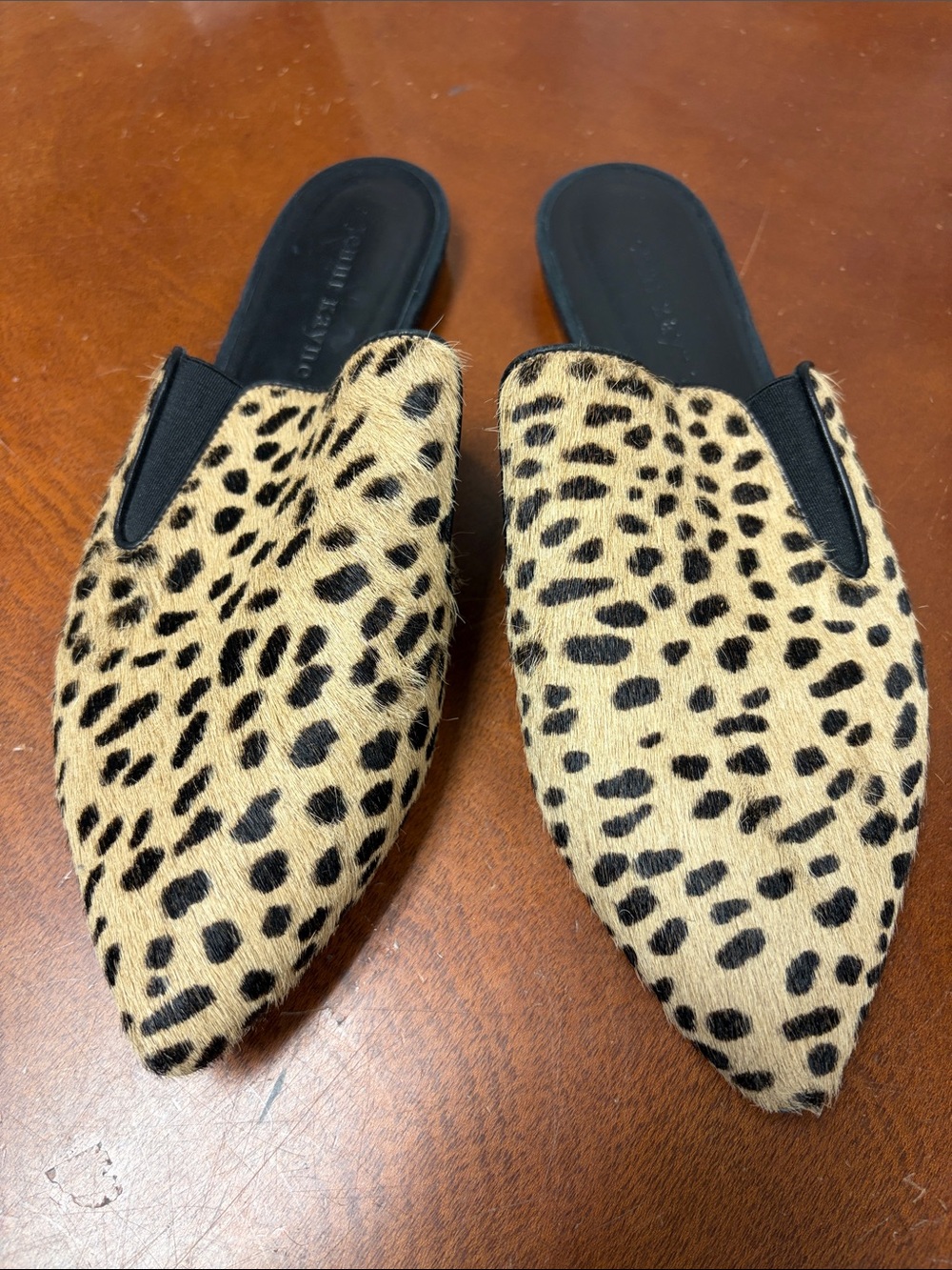 Jenni Kayne Leopard Print Slip-On Pointed Mules - Women